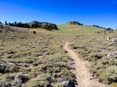 High meadow to Snow Valley Peak