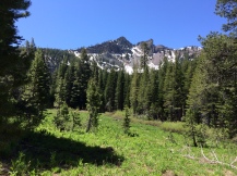 Twin Peaks from Meadow