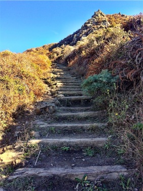 Stairs to Pirates Cove