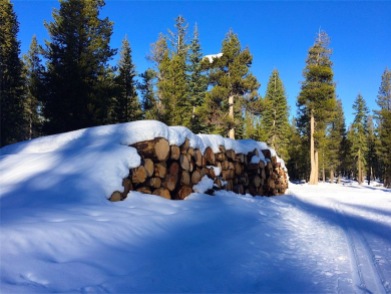Log pile, great wintery scene