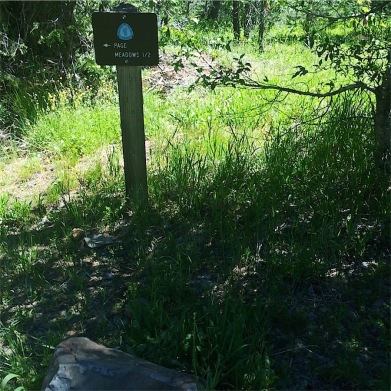 Trail marker for Page Meadows