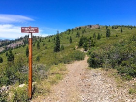 Trail to Negro Canyon Overlook (no, the trail does not end like the sign says)